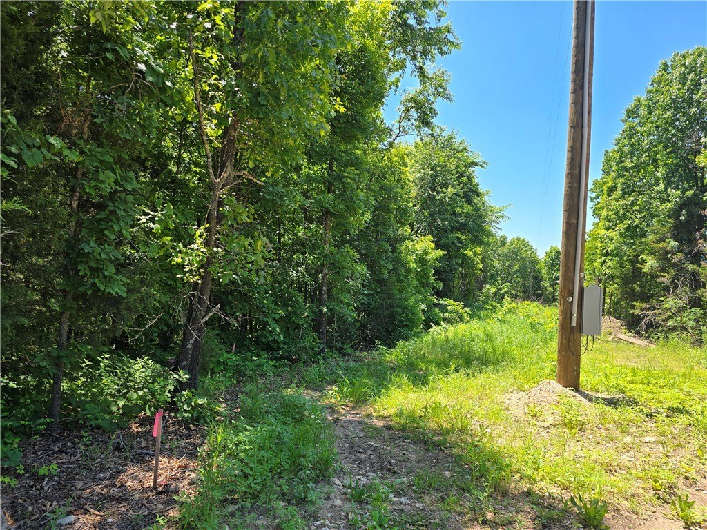 Picture 5