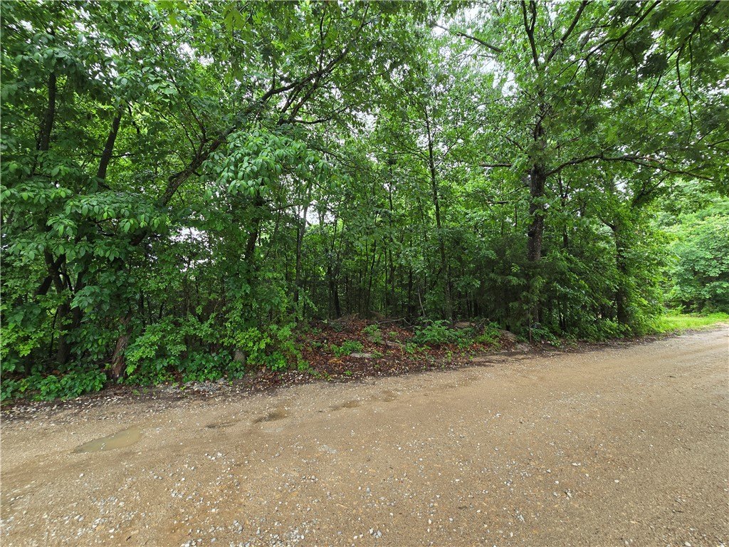 Picture 12