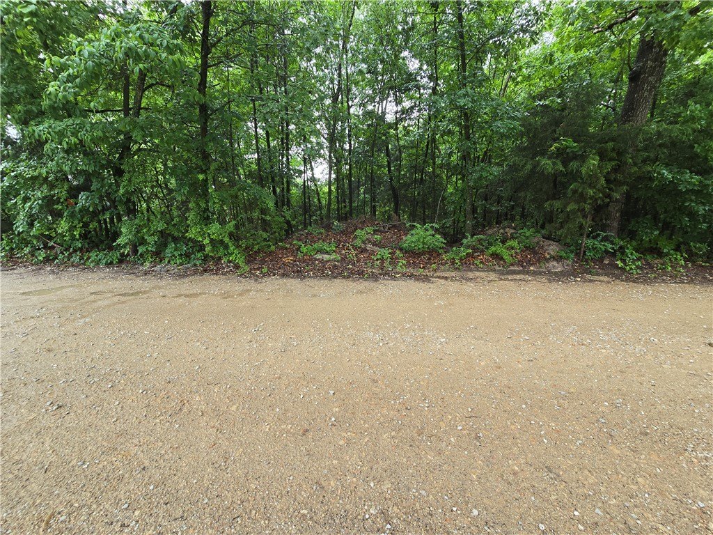 Picture 10