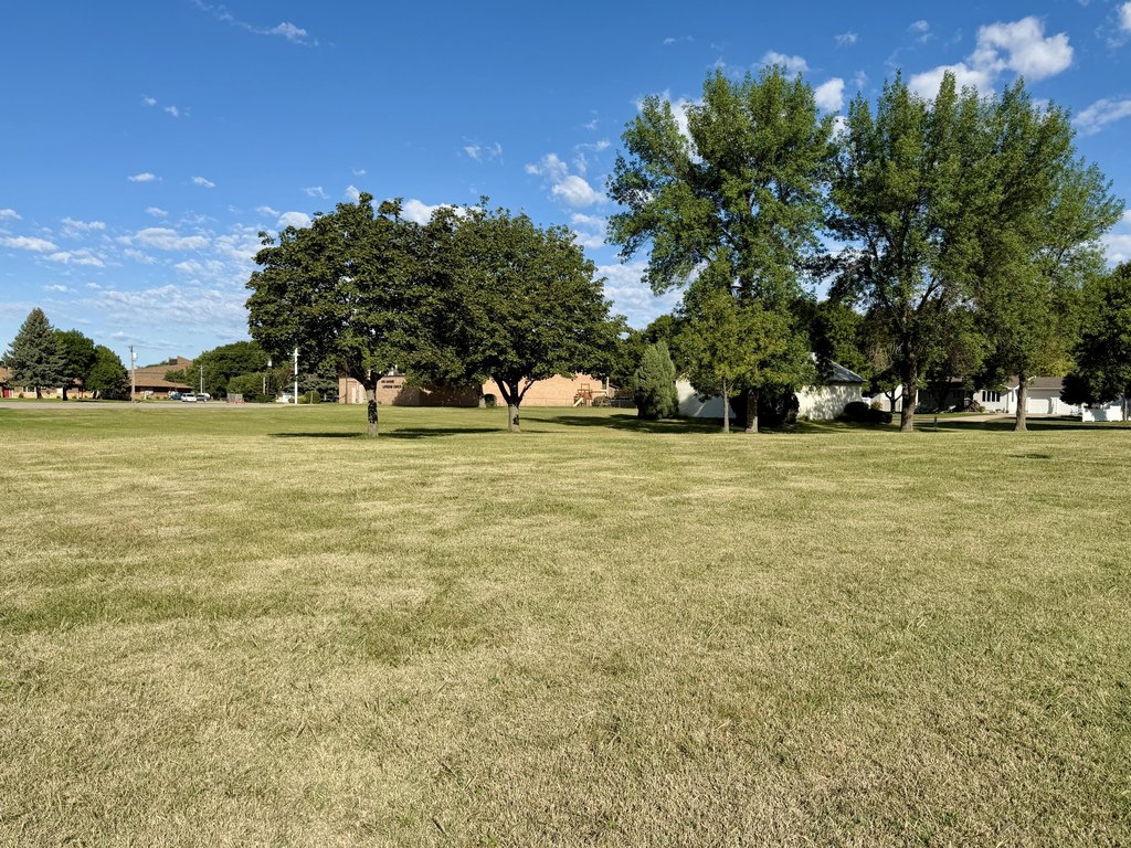 Picture 5