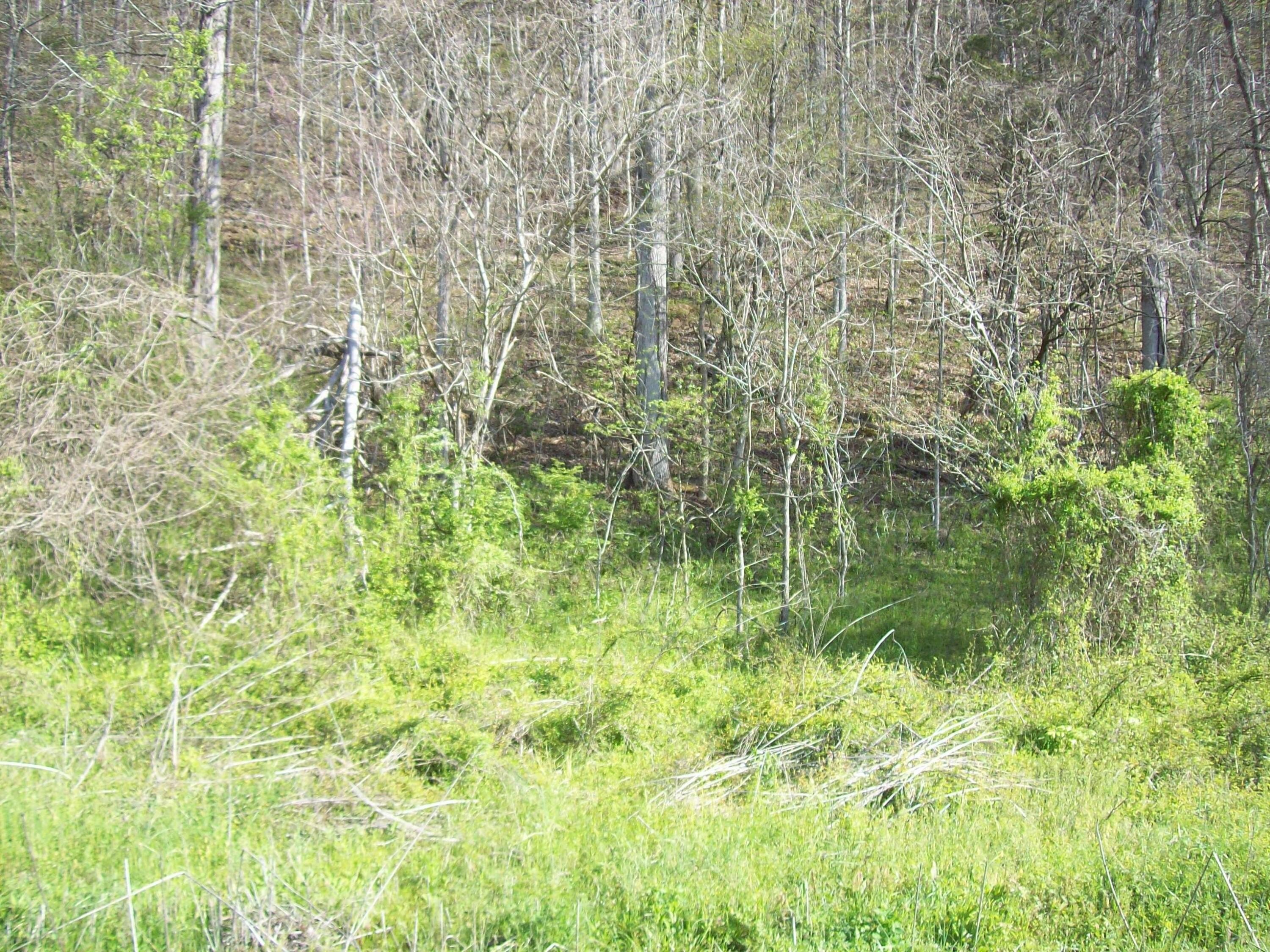 45 Acres Wooded Mountain Tract