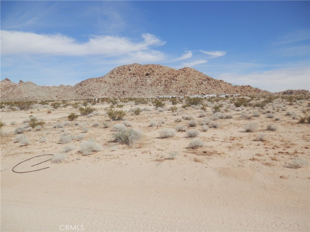 Picture 4