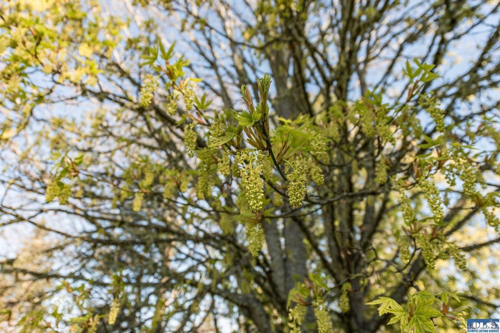 Picture 43