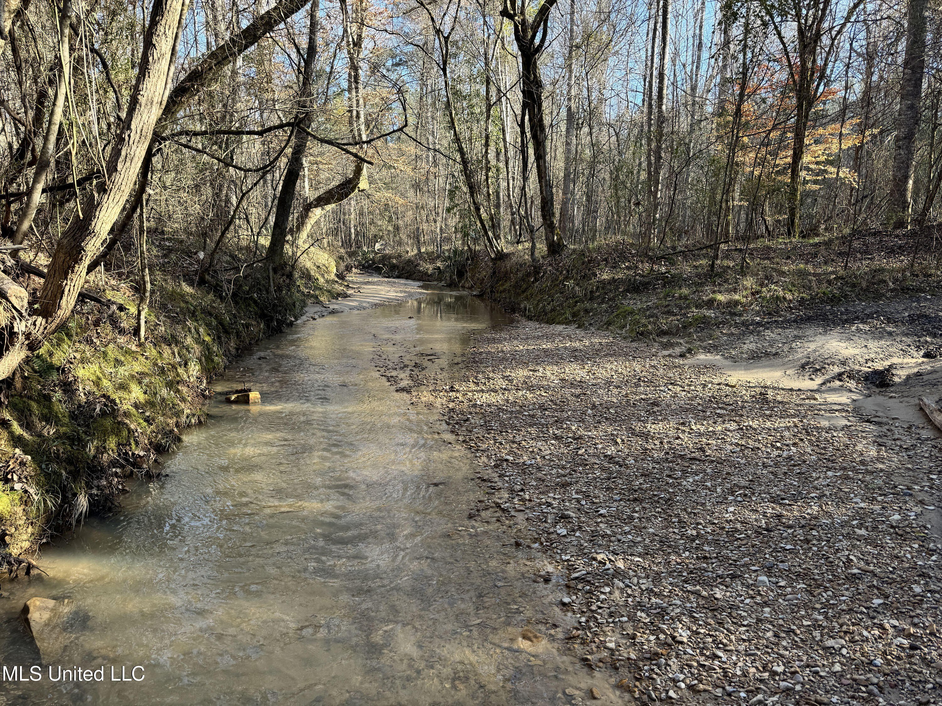 600 Acres in Big Buck Country