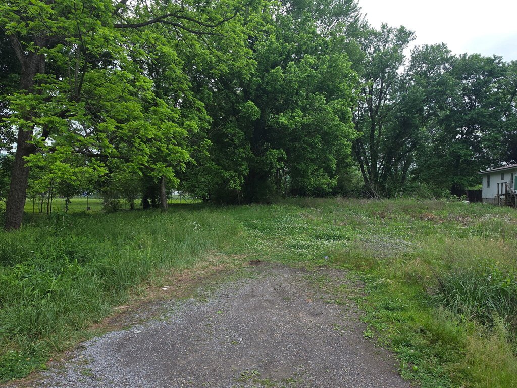 Picture 3