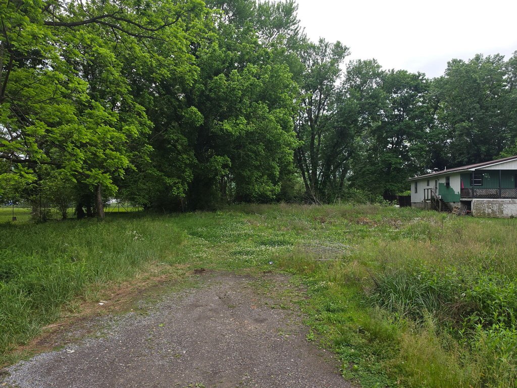 Picture 4