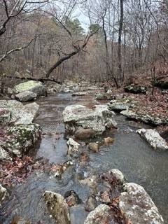 Picture 42