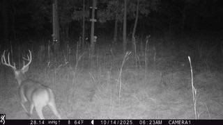 Picture 24