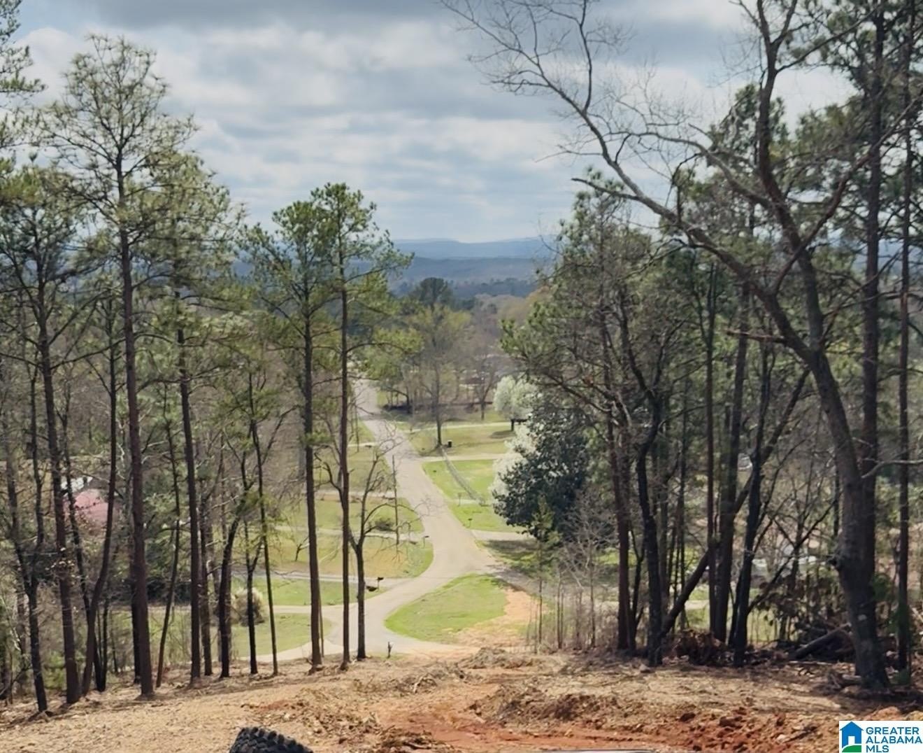 Residential Lot with Mountain View