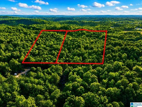 LAND - ODENVILLE, AL