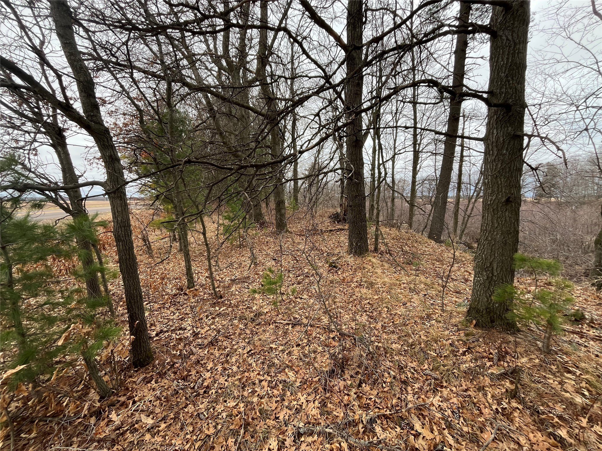 9.54 Acres on Ten Mile Creek