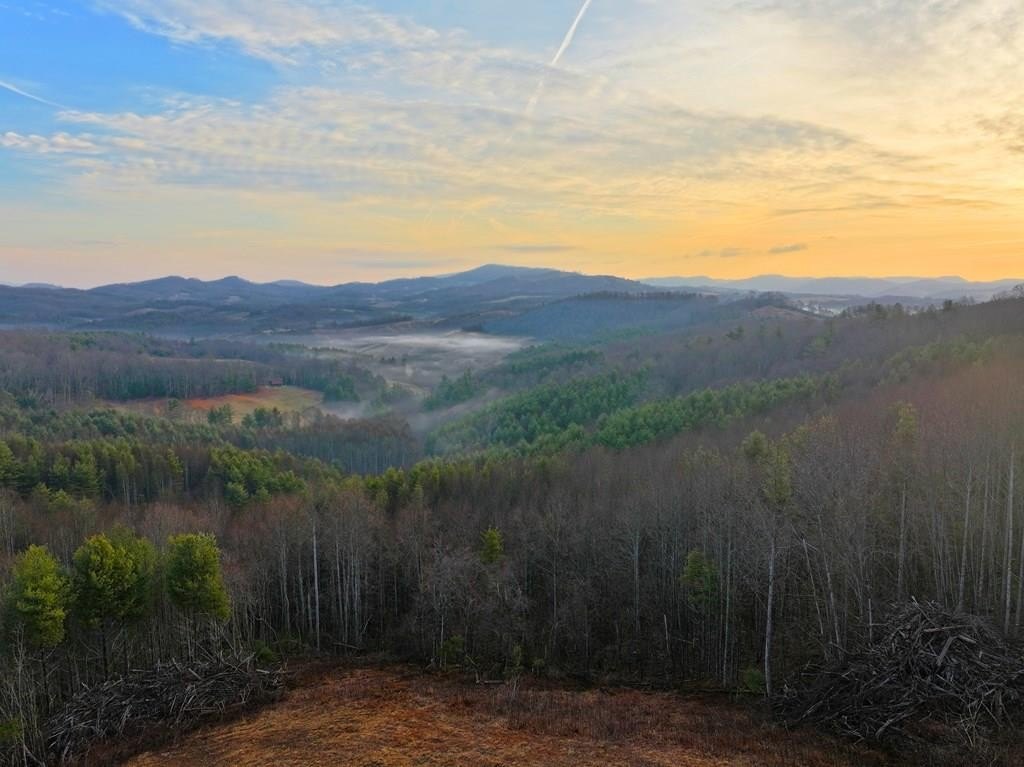 42-Acre Mountain Tract For Sale