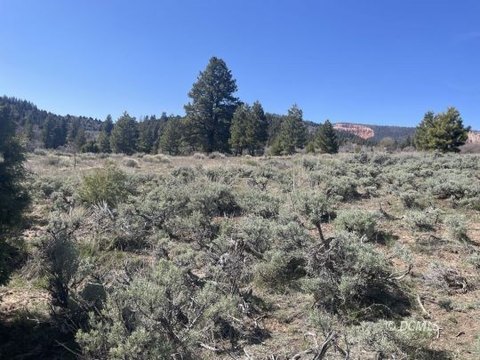 Vacant Land - Duck Creek Village, UT
