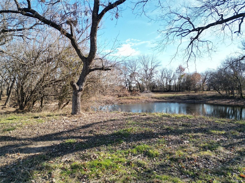 Picture 13