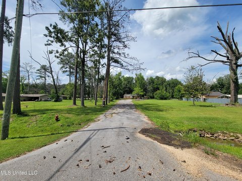 Commercial Land in Forest, MS