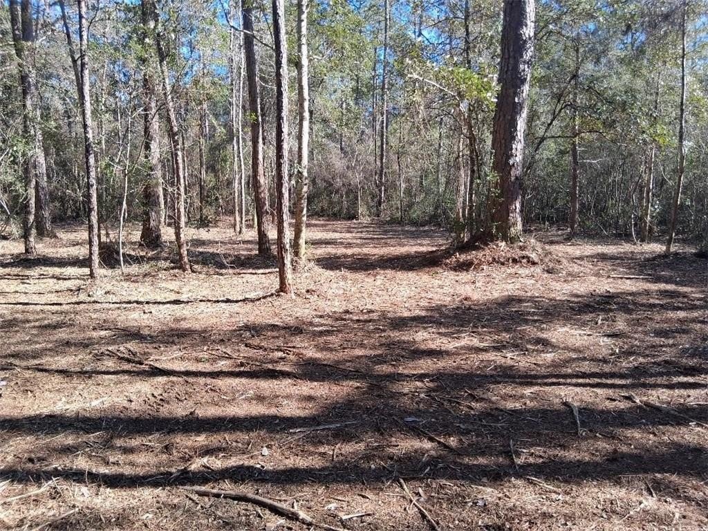 Residential Lot Near Boat Launch