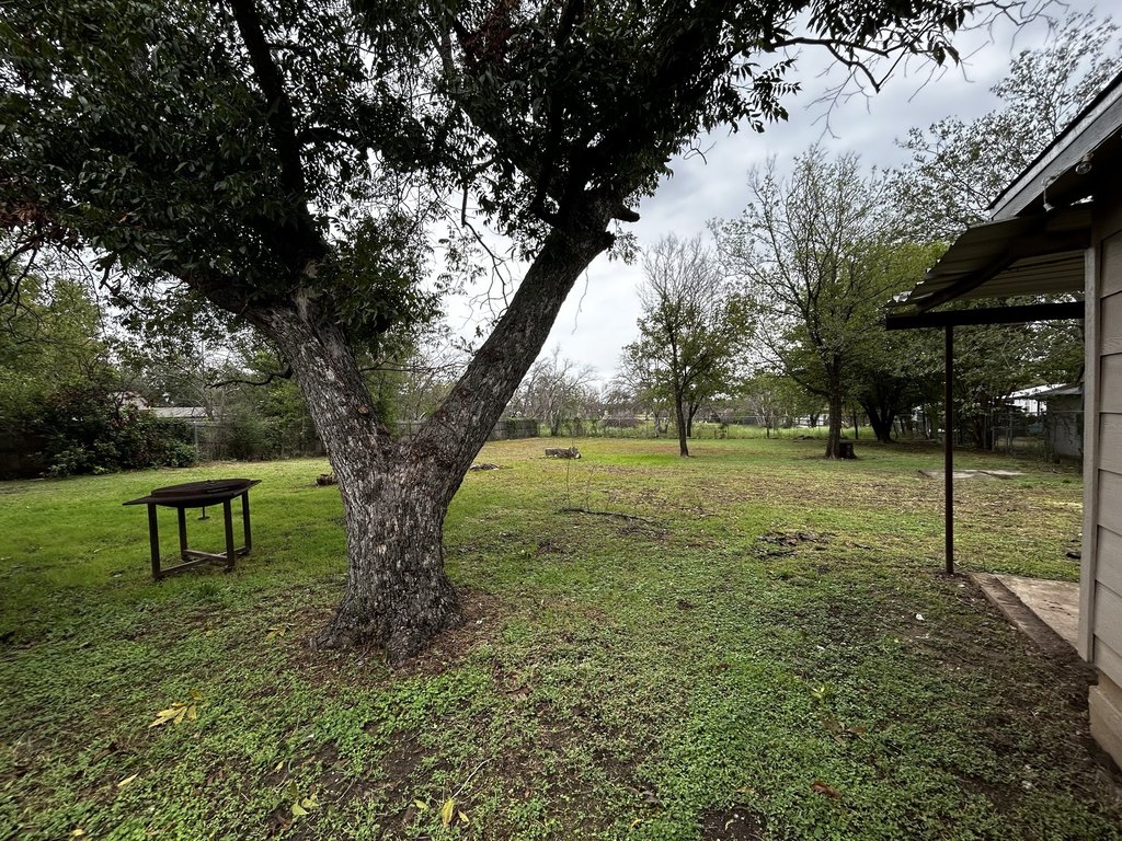 Picture 17