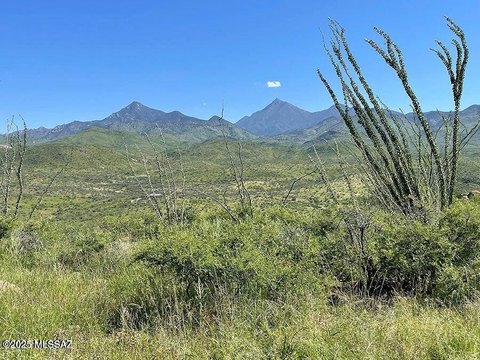 Rio Rico Land For Sale