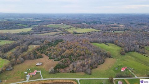 31.3 Acres in Magnolia, KY
