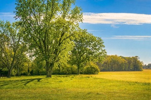Land in Rural Baker, Florida