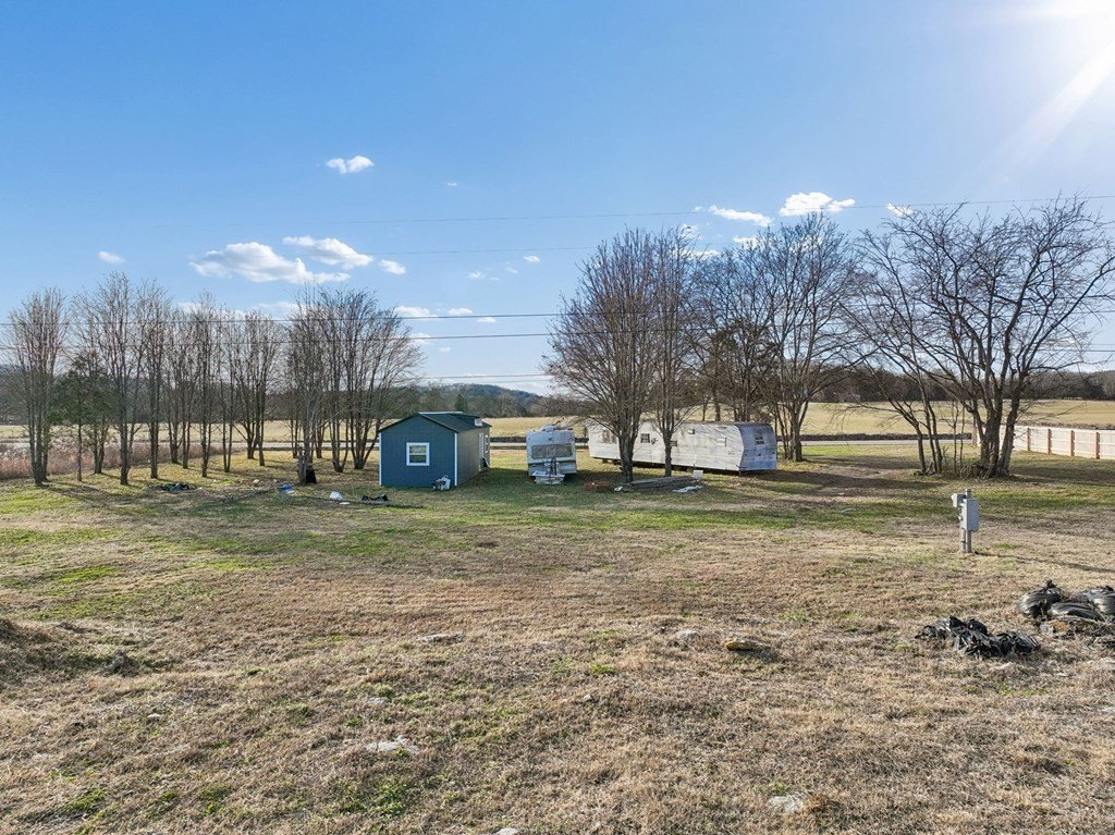 Picture 2