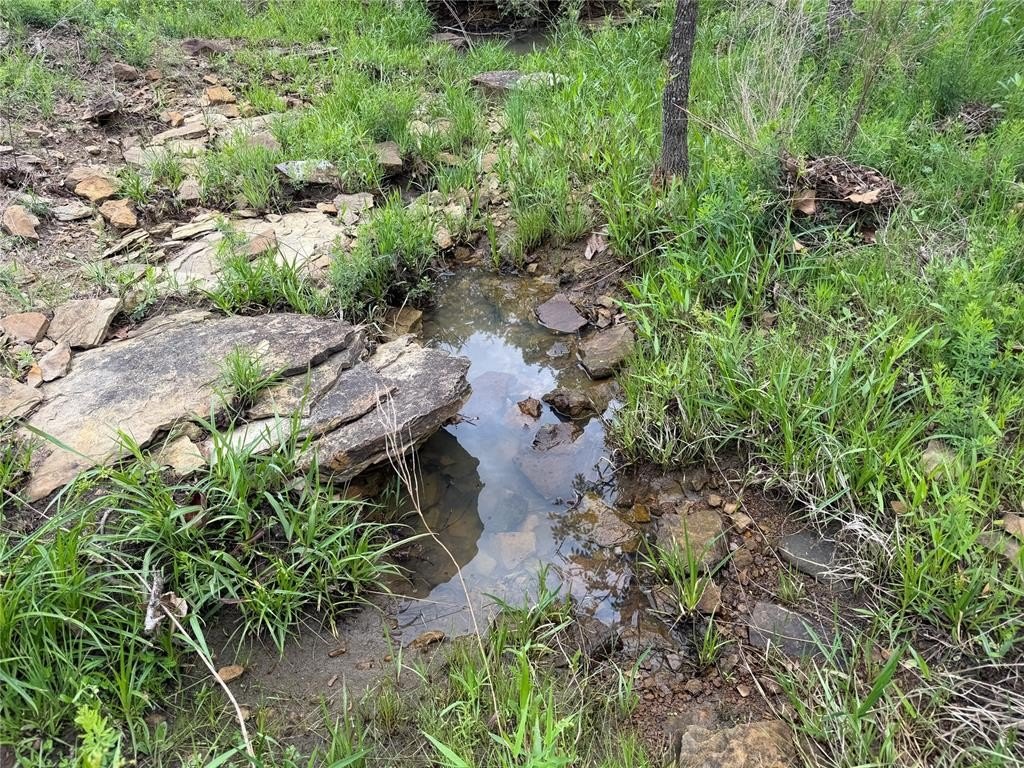 Picture 18