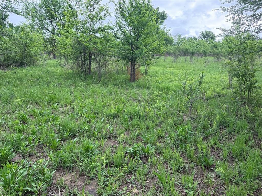 Picture 8