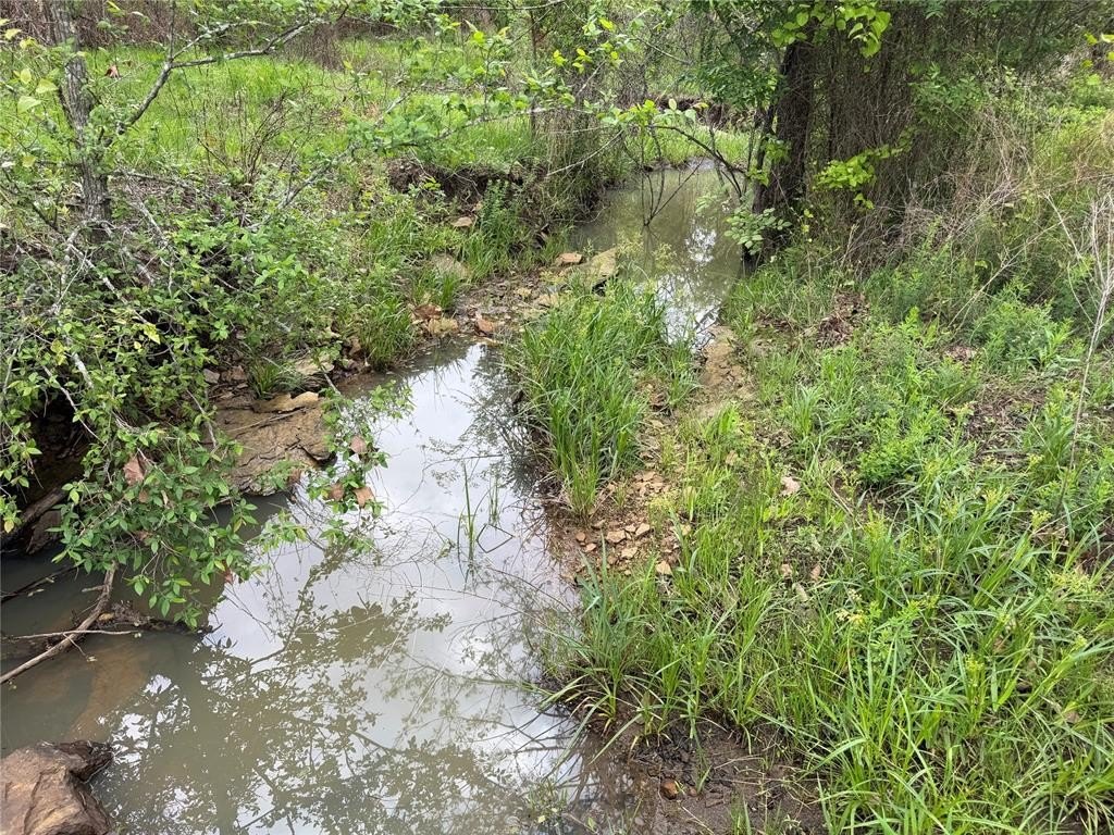 Picture 19