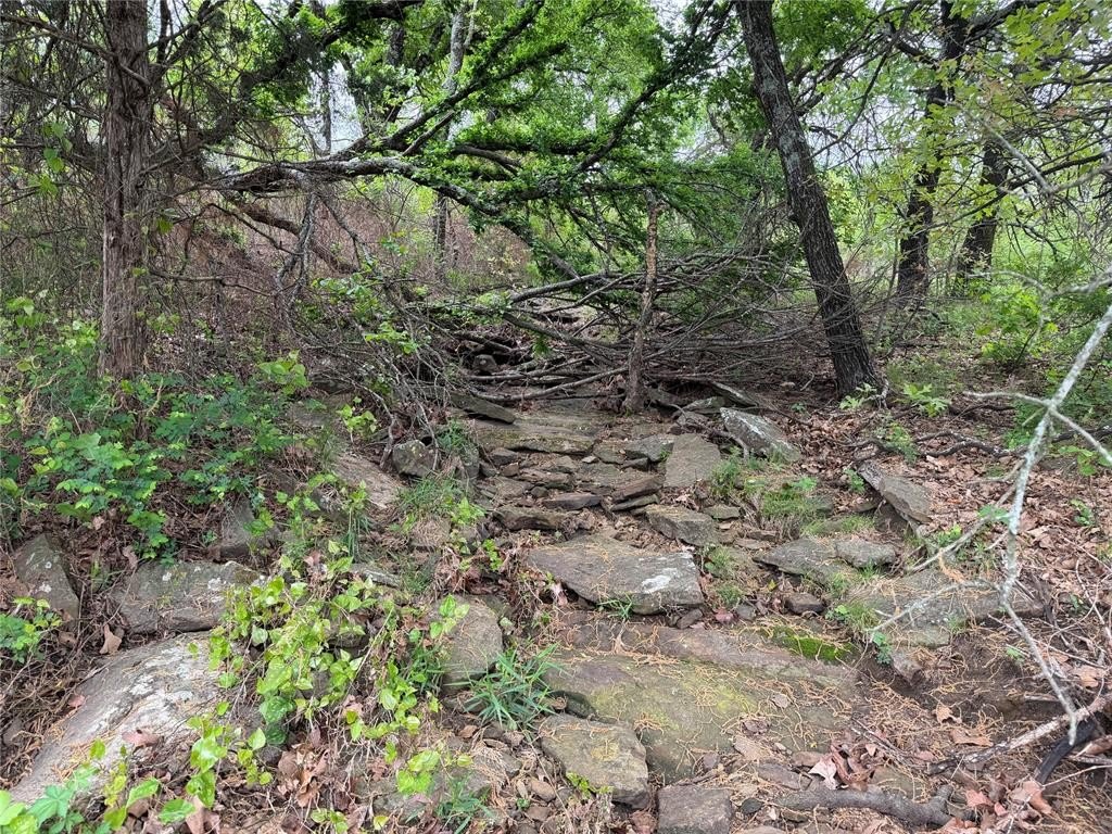 Picture 17
