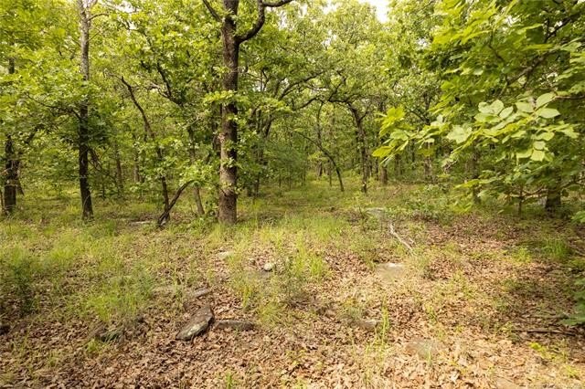 Picture 33