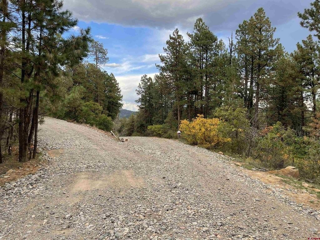 Picture 19