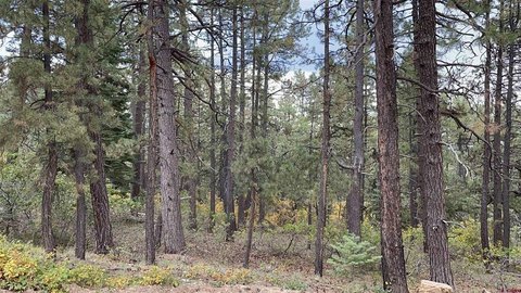 LAND, Bayfield, CO