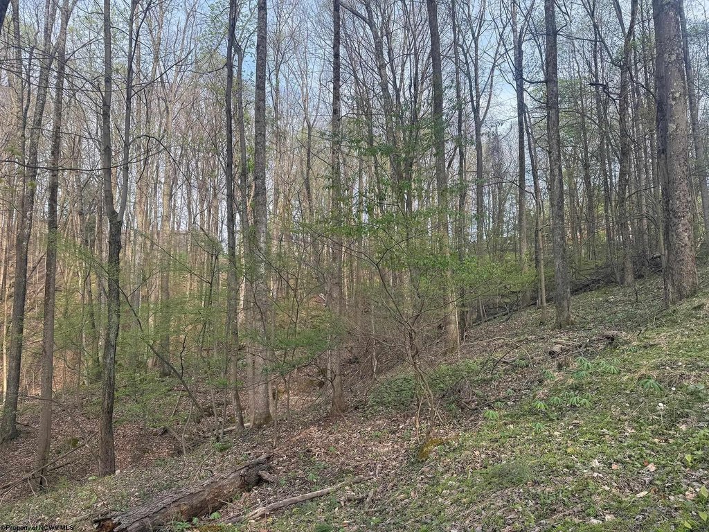 Picture 5