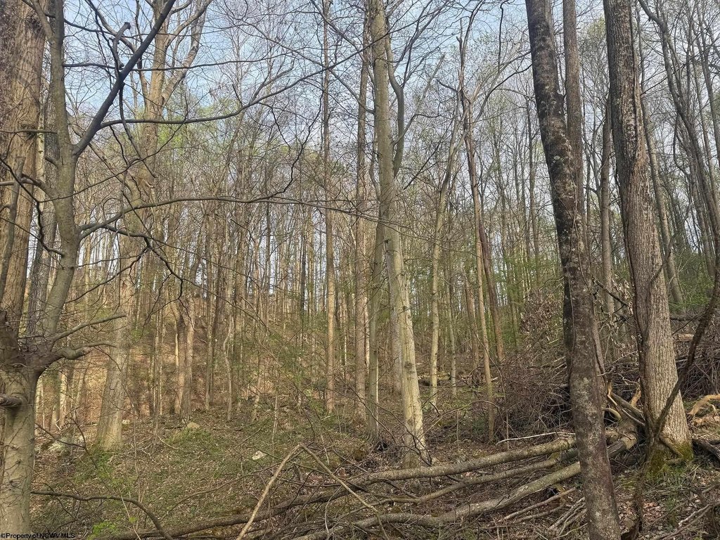 Picture 7