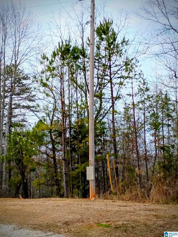 Picture 9