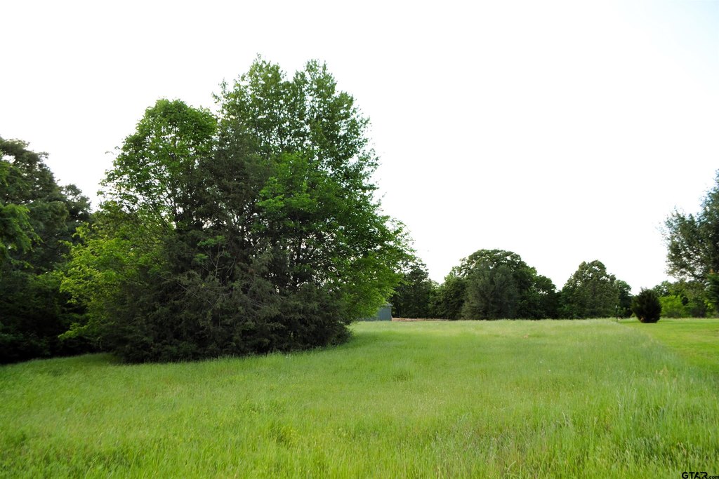 Picture 20
