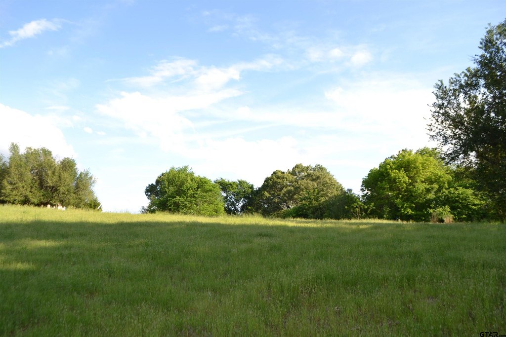 Picture 16