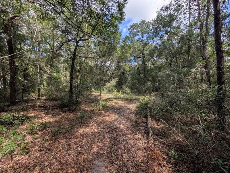 Picture 3