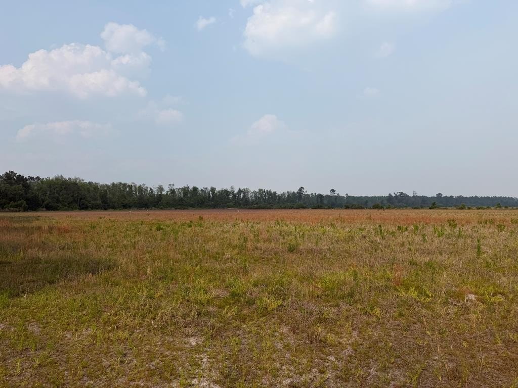 Cleared Land Near Lakeland, GA