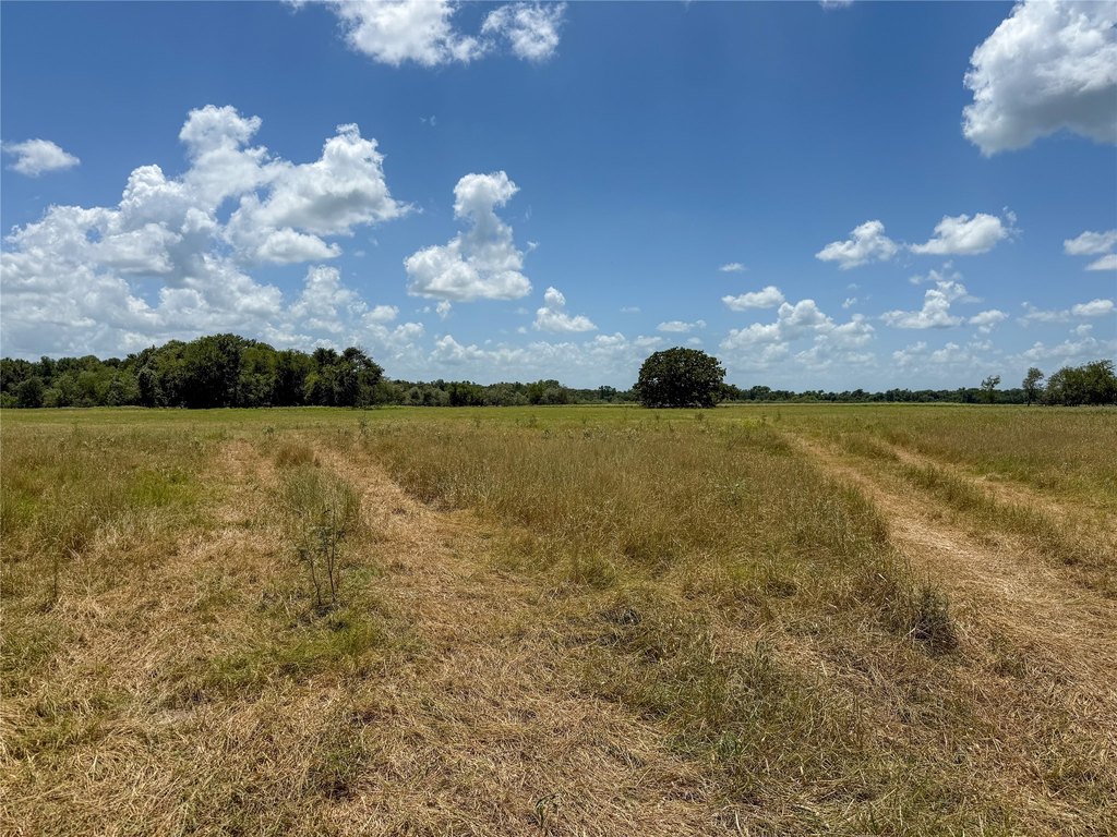 Picture 20