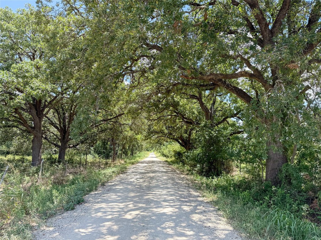 Picture 23
