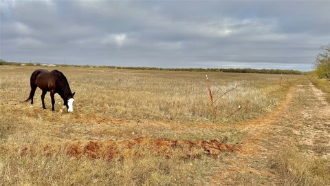 LAND - Abilene, TX