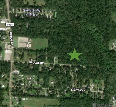 Residential Lot in Denham Springs