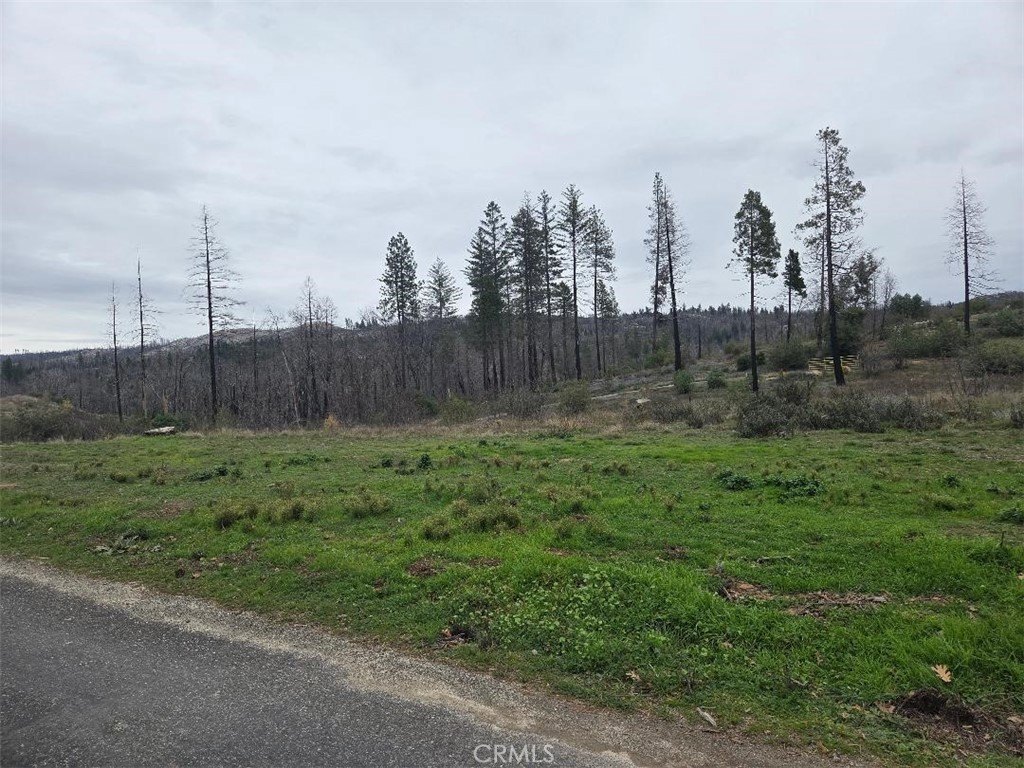 Berry Creek Foothill Opportunity