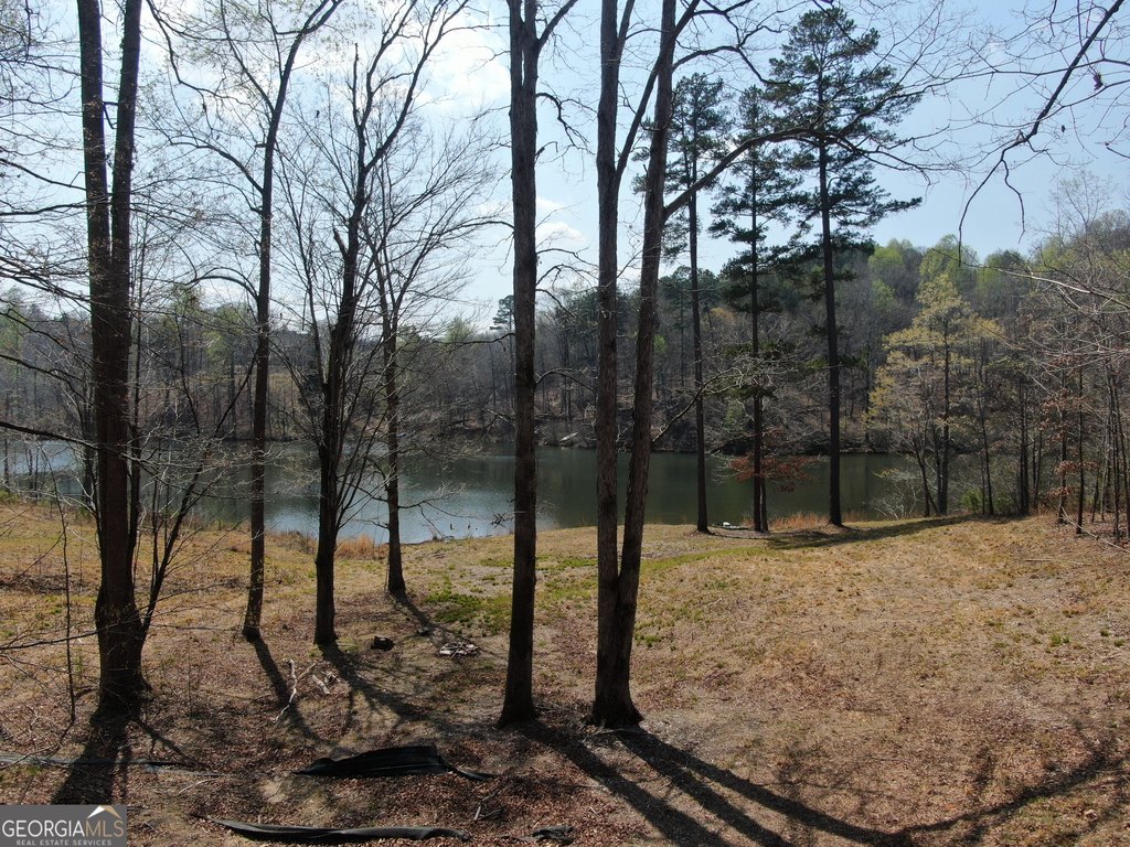 Picture 14