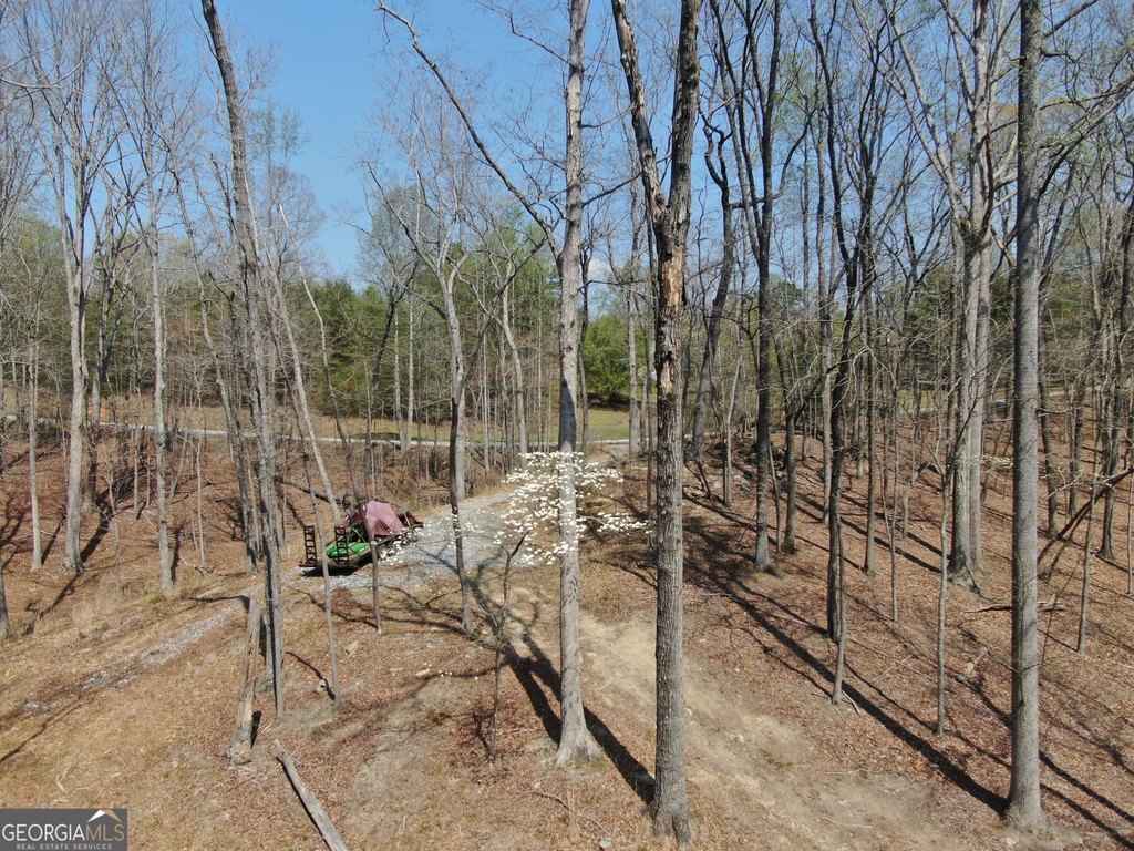 Picture 17