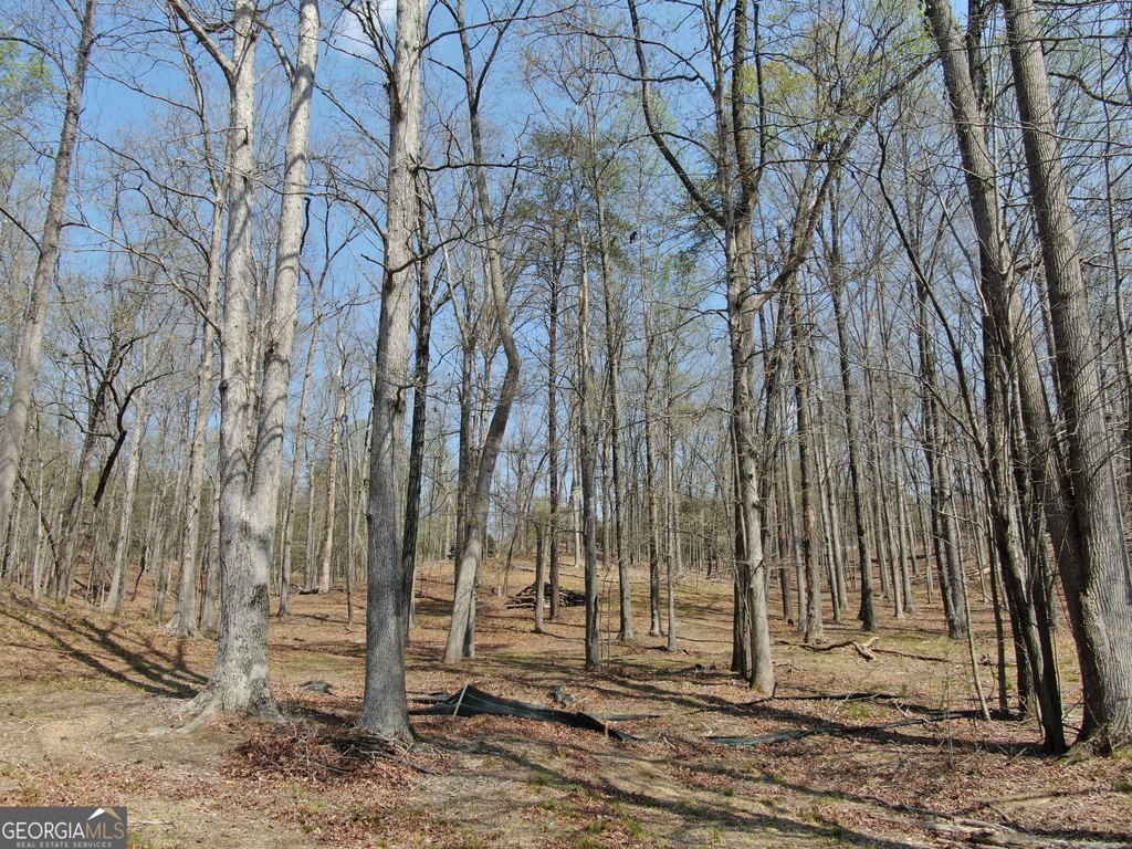 Picture 10