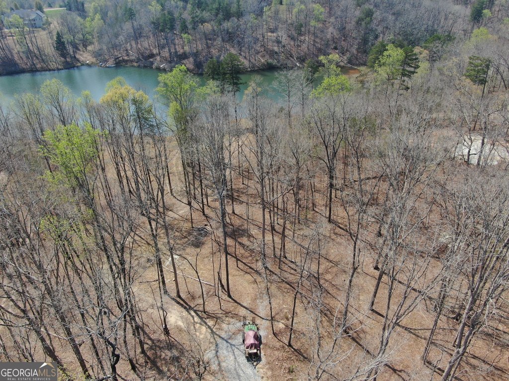 Picture 18