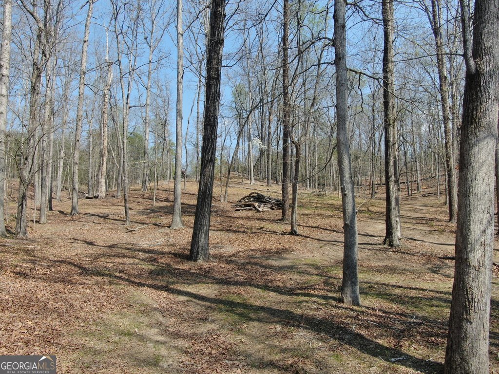 Picture 13