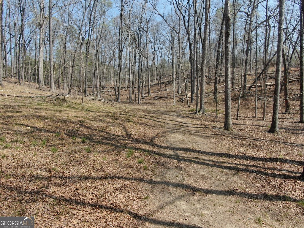 Picture 15
